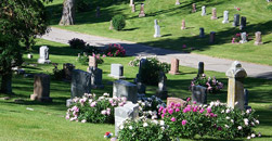 McLean Funeral Directors